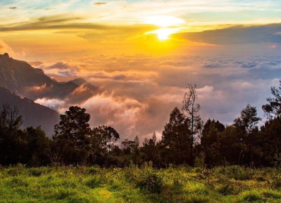 Bed and Breakfast Cloud Walk à Tamilnadu - Tamilnadu - Kodaikanal Extérieur photo