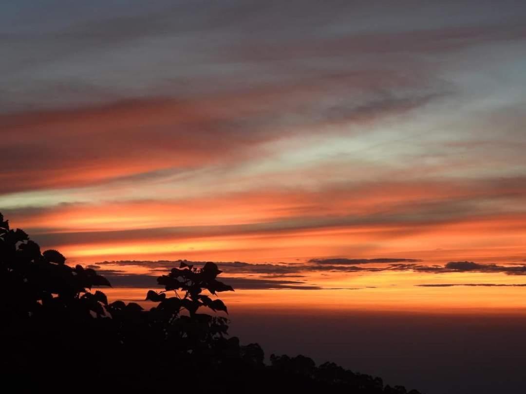 Bed and Breakfast Cloud Walk à Tamilnadu - Tamilnadu - Kodaikanal Extérieur photo